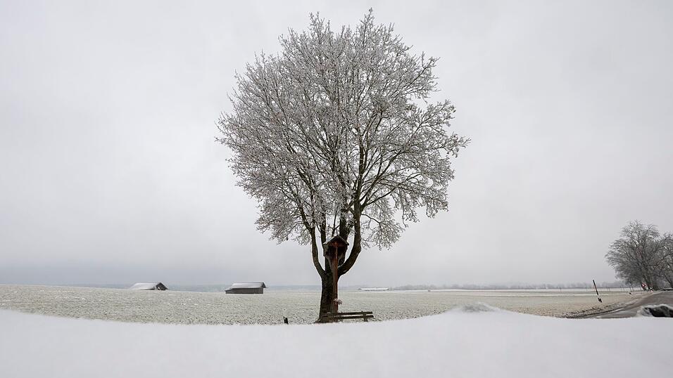 In Teilen Bayerns rieselte an Heiligabend Schnee herunter.