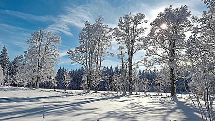 Traumwetter Ende November nahe Ödwies am Hirschenstein Traumwetter Ende November nahe Ödwies am Hirschenstein