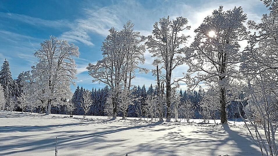 Traumwetter Ende November nahe &Ouml;dwies am Hirschenstein