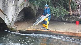 Robert Meier-Staude, der die Versuche leitet, wirft zwei der Gitter am Seil in den Eisbach.