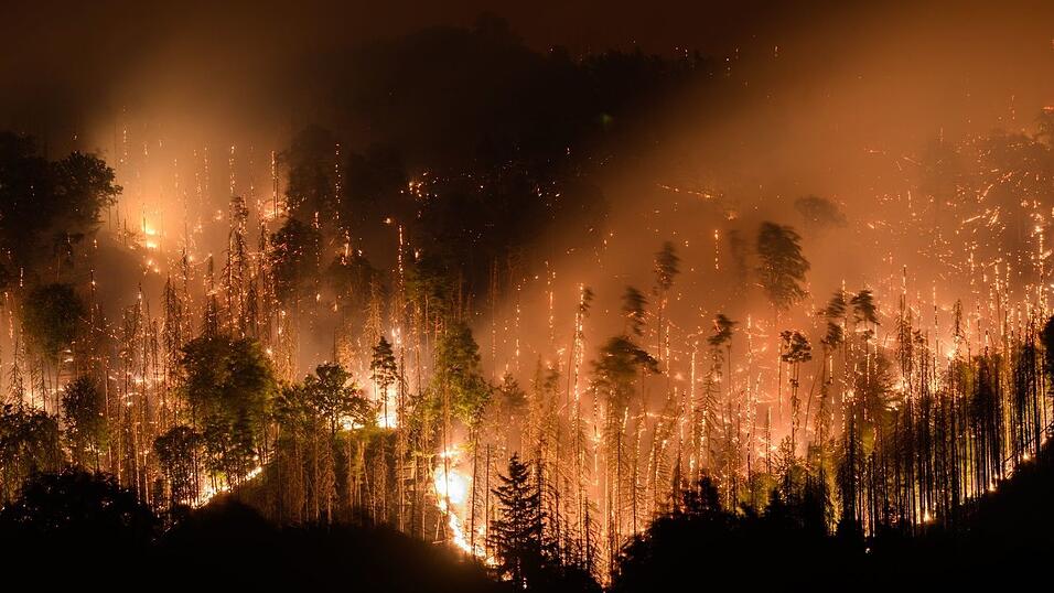 Der verheerende Waldbrand 2022 im sächsisch-tschechischen Grenzland stellte die Einsatzkräfte vor großen Herausforderungen. (Archivbild)