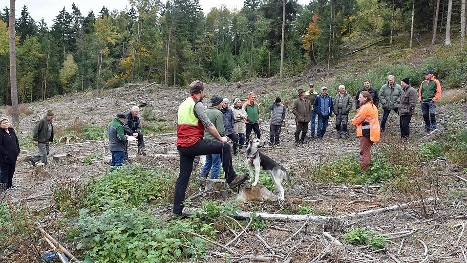 Försterin Barbara Keil beschrieb auf einer Kahlfläche bei Kothrettenbach, wie hier ein Zukunftswald begründet werden könnte. Försterin Barbara Keil beschrieb auf einer Kahlfläche bei Kothrettenbach, wie hier ein Zukunftswald begründet werden könnte.