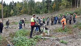 Försterin Barbara Keil beschrieb auf einer Kahlfläche bei Kothrettenbach, wie hier ein Zukunftswald begründet werden könnte.