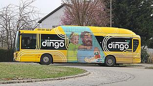 Bevor man dann in Sachen Dingo die Qual der Farbwahl hat, holt man sich nach Vorlage der Verzichtserklärung seinen 'Freifahrtschein' im Rathaus.