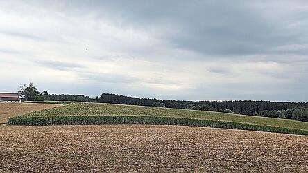 Die geplante PV-Freiflächenanlage grenzt an den Ortsteil Schellenberg, hier der Blick auf einen Teil des insgesamt 15 Hektar umfassenden Standortgeländes (im Bild rechts der Gebäude). Die geplante PV-Freiflächenanlage grenzt an den Ortsteil Schellenberg, hier der Blick auf einen Teil des insgesamt 15 Hektar umfassenden Standortgeländes (im Bild rechts der Gebäude).