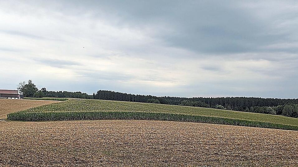 Die geplante PV-Freiflächenanlage grenzt an den Ortsteil Schellenberg, hier der Blick auf einen Teil des insgesamt 15 Hektar umfassenden Standortgeländes (im Bild rechts der Gebäude). Die geplante PV-Freiflächenanlage grenzt an den Ortsteil Schellenberg, hier der Blick auf einen Teil des insgesamt 15 Hektar umfassenden Standortgeländes (im Bild rechts der Gebäude).