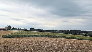 Die geplante PV-Freiflächenanlage grenzt an den Ortsteil Schellenberg, hier der Blick auf einen Teil des insgesamt 15 Hektar umfassenden Standortgeländes (im Bild rechts der Gebäude). Die geplante PV-Freiflächenanlage grenzt an den Ortsteil Schellenberg, hier der Blick auf einen Teil des insgesamt 15 Hektar umfassenden Standortgeländes (im Bild rechts der Gebäude).