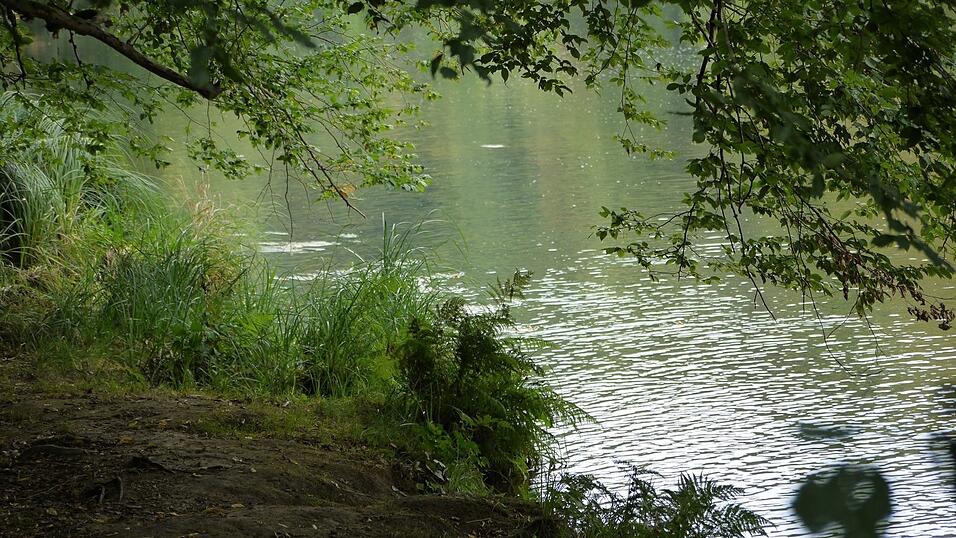 Wunderschönes Ausflugsziel in Passau: die Halser Ilzschleifen. Wunderschönes Ausflugsziel in Passau: die Halser Ilzschleifen.