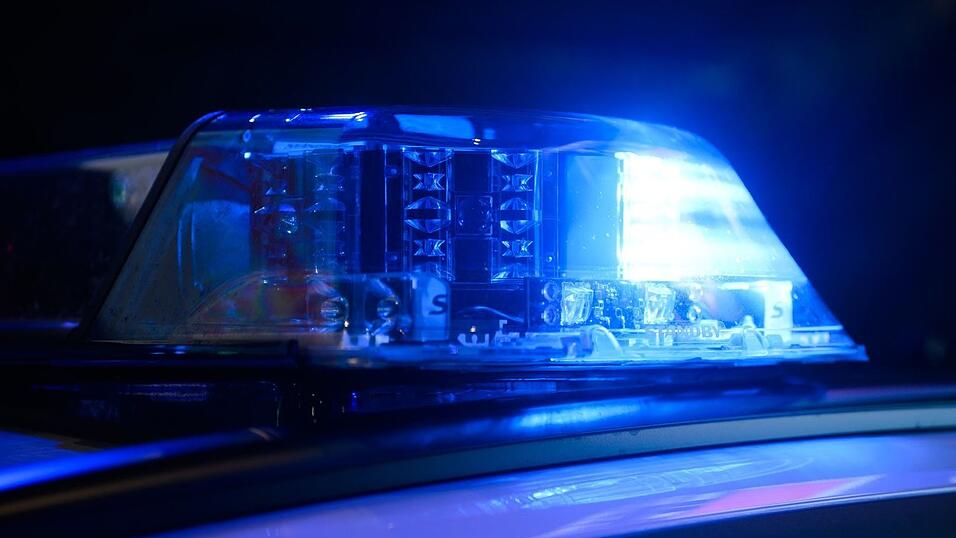 Einsatzkräfte konnten das erschöpfte aber unverletzte Tier einfangen. (Symbolbild) Einsatzkräfte konnten das erschöpfte aber unverletzte Tier einfangen. (Symbolbild)