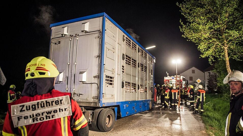 Kniffliger Einsatz f&uuml;r die Feuerwehren aus Rohr/Ndb. und Obereulenbach am sp&auml;ten Donnerstagabend. Ein Schweinetransporter hatte auf dem Weg zum Schlachthof Feuer gefangen. Neun der Tiere kamen durch den Stress und den giftigen Rauch ums Leben.