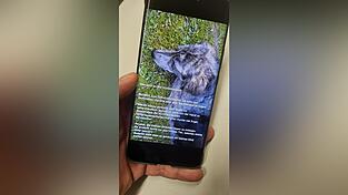 In ihrem Whatsapp-Status machte Christine Krause mit einem Bild von Luna und einem Text ihrem &Auml;rger Luft.