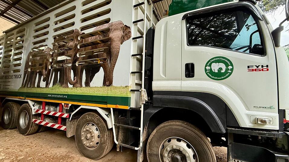 In solchen Trucks werden die Elefanten nach ihrer Rettung in den Elephant Nature Park gefahren. In solchen Trucks werden die Elefanten nach ihrer Rettung in den Elephant Nature Park gefahren.