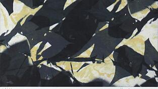 Wie ein Blick ins Herbstlaub: Thomas Hellingers 'Licht/Schatten'