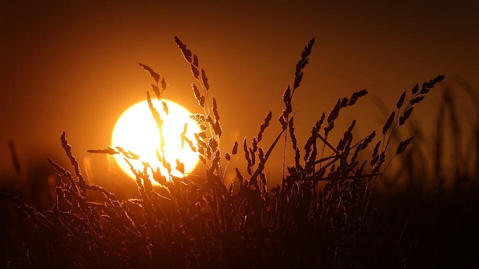 Viel Sonne, historisch wenig Regen: Das Wetter im Frühjahr bereitet an einigen Stellen Probleme. (Symbolbild) Viel Sonne, historisch wenig Regen: Das Wetter im Frühjahr bereitet an einigen Stellen Probleme. (Symbolbild)