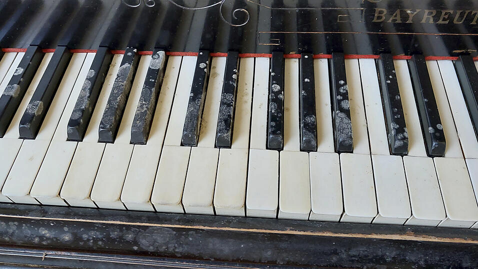 Schimmelflecken fanden sich nicht nur auf der Tastatur, sondern auch am Korpus des Klaviers.