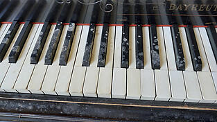 Schimmelflecken fanden sich nicht nur auf der Tastatur, sondern auch am Korpus des Klaviers.