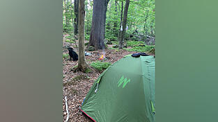 Viele Wildcamper schlagen ihr Zelt mitten in der Kernzone auf. Auch Lagerfeuer werden oftmals entz&uuml;ndet - aufgrund der Waldbrandgefahr kann das gef&auml;hrlich werden.