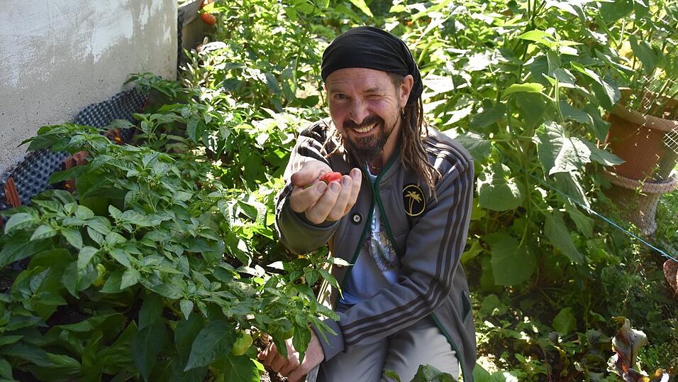 Mit Garten-Videos und vegetarischen Rezepten inspiriert Steffen Prase sein Publikum in den Sozialen Medien. Mit Garten-Videos und vegetarischen Rezepten inspiriert Steffen Prase sein Publikum in den Sozialen Medien.
