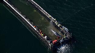 Jetzt hat sich die Barge mit dem Wal in Bewegung gesetzt.