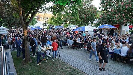 Viele Besucher erwarten die Organisatoren auch dieses Jahr beim Landauer Weinfest im Stadtpark. (Archivfoto)