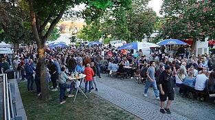 Viele Besucher erwarten die Organisatoren auch dieses Jahr beim Landauer Weinfest im Stadtpark. (Archivfoto)