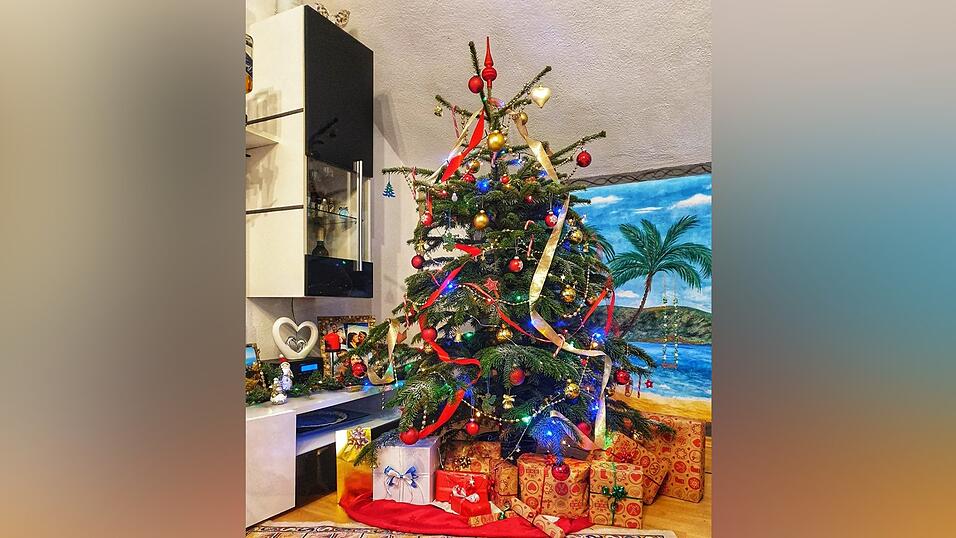 Im Hintergrund eine Palme, im Vordergrund ein festlich geschm&uuml;ckter Weihnachtsbaum.&nbsp; &nbsp;&nbsp;