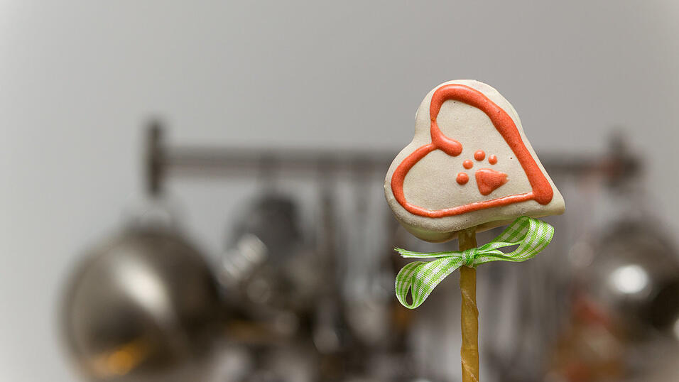 Mit viel Liebe zum Detail stellt Marion Fischer die Hundeschmankerl her. (Foto: Susanne Raith)