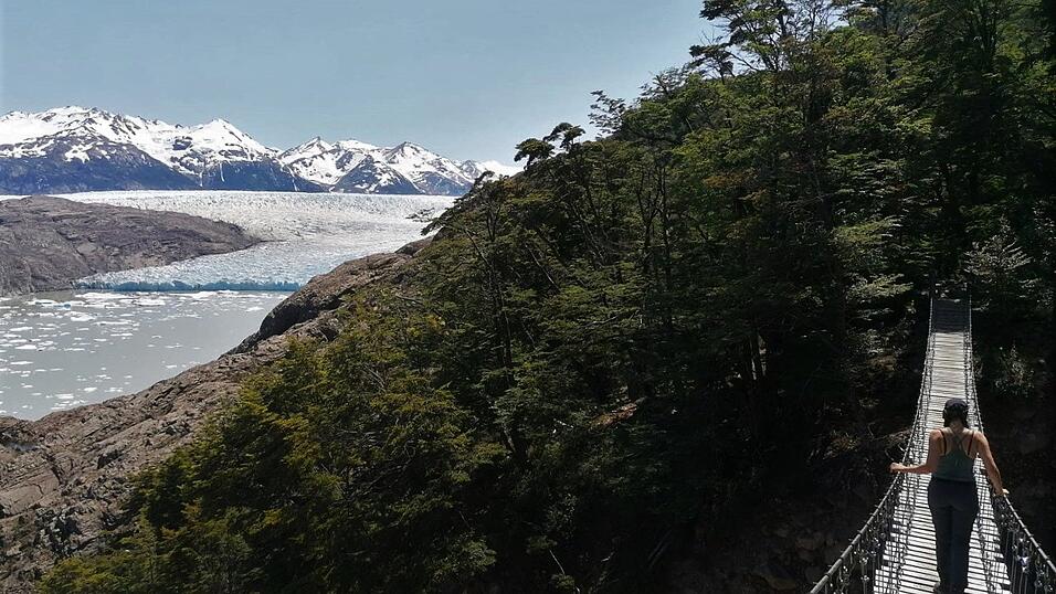 Aussicht auf den Grey-Gletscher. Aussicht auf den Grey-Gletscher.