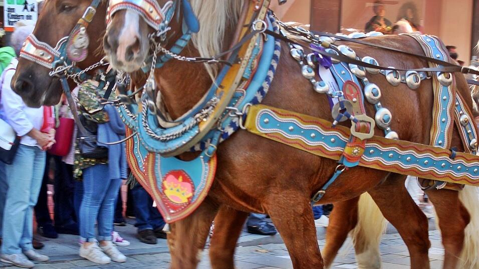Viele Besucher verfolgten am Sonntag den Umzug auf dem Vilsbiburger Stadtplatz. Viele Besucher verfolgten am Sonntag den Umzug auf dem Vilsbiburger Stadtplatz.