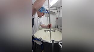 Voller Körpereinsatz beim Schneiden der Masse mit der Käseharfe Voller Körpereinsatz beim Schneiden der Masse mit der Käseharfe