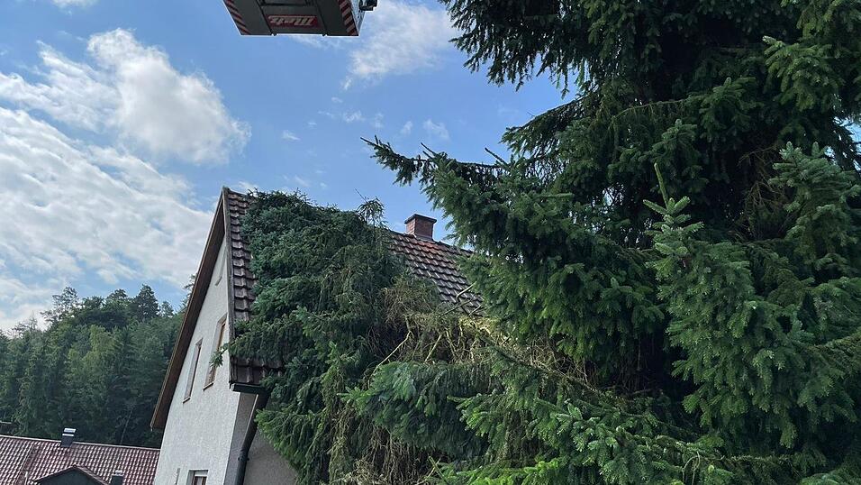 Der Sturm hatte einen Baum auf ein Haus st&uuml;rzen lassen.