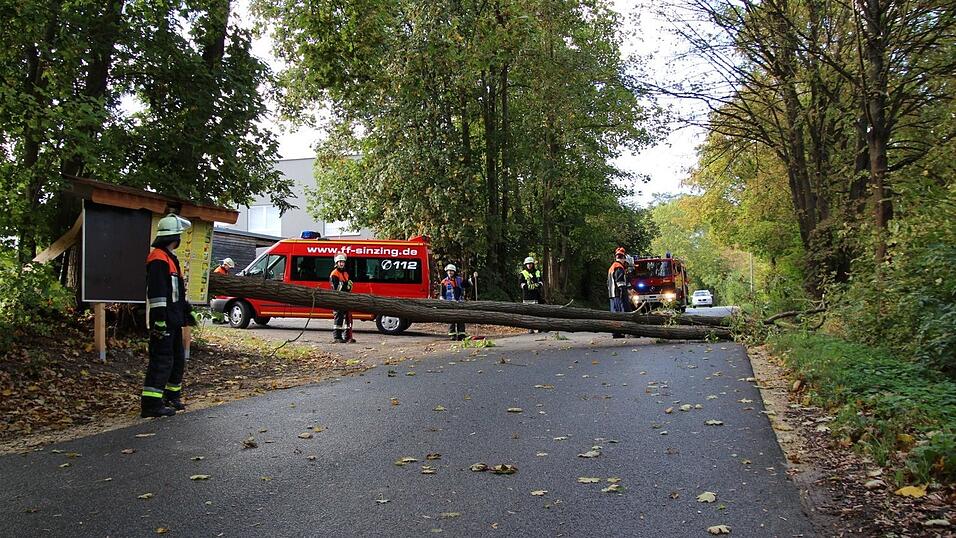 So wütete Sturmtief 'Fabienne' am Sonntag in der Oberpfalz. Zugausfälle, umgestürzte Bäume und sogar eine meterlange Kirchweihbaumspitze, die auf das Dach eines Festzeltes krachte. So wütete Sturmtief 'Fabienne' am Sonntag in der Oberpfalz. Zugausfälle, umgestürzte Bäume und sogar eine meterlange Kirchweihbaumspitze, die auf das Dach eines Festzeltes krachte.