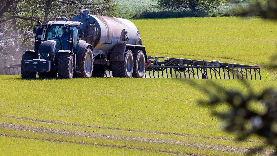 Das Bundesverwaltungsgericht Leipzig prüft, ob die bayerische Düngeverordnung Landwirte zu stark einschränkt. (Archivbild) Das Bundesverwaltungsgericht Leipzig prüft, ob die bayerische Düngeverordnung Landwirte zu stark einschränkt. (Archivbild)