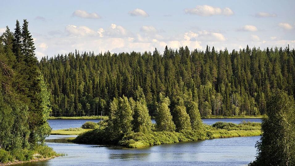 Liegt es an den finnischen W&auml;ldern, dass die Nordeurop&auml;er so gl&uuml;cklich sind? (Symbolbild)