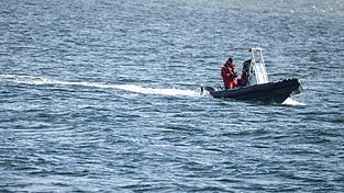Die Polizei war auf der Ostsee unterwegs, um den Buckelwal zu betreuen.