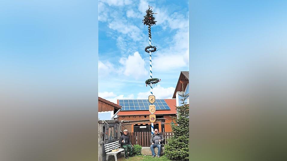 Gottfried und Alexander Listl stellten diesen schmucken Maibaum in ihrem Anwesen auf.