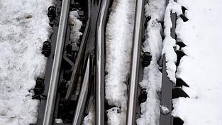 Wegen der hohen Schneelast sind nach Angaben der Bahn im Raum N&uuml;rnberg mehrere B&auml;ume auf Gleise gest&uuml;rzt. (Symbolbild)