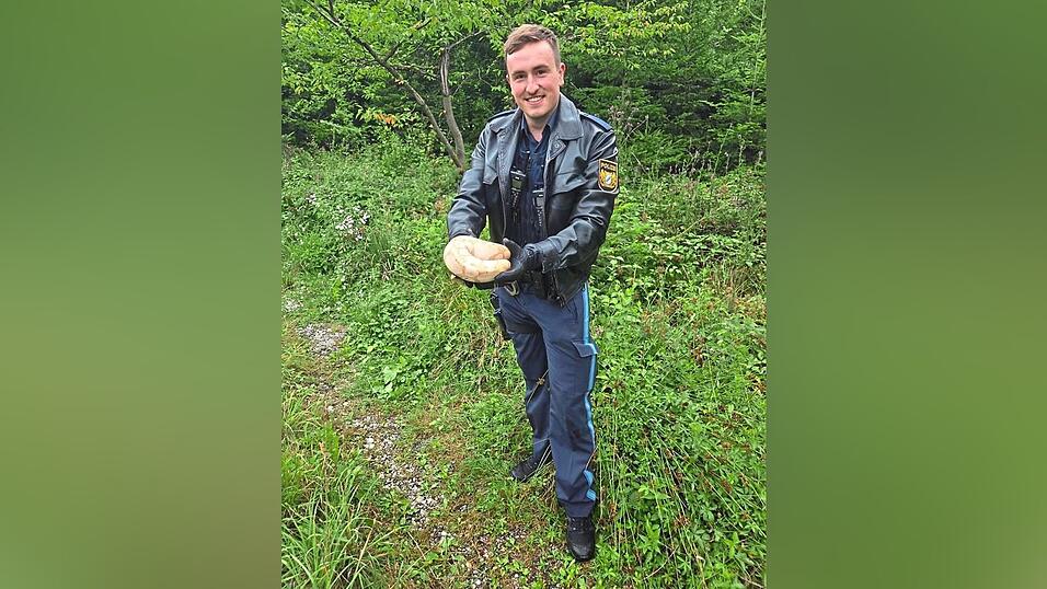 Einen solchen Fund gibt es im Landkreis nicht alle Tage. Einen solchen Fund gibt es im Landkreis nicht alle Tage.