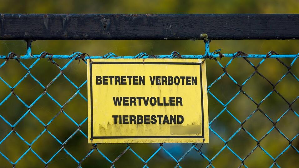 Das Schild „Betreten verboten - wertvoller Tierbestand“ hängt am Zaun eines Geflügelzuchtbetriebs in Brandenburg, in dem die Geflügelpest ausgebrochen ist. Das Schild „Betreten verboten - wertvoller Tierbestand“ hängt am Zaun eines Geflügelzuchtbetriebs in Brandenburg, in dem die Geflügelpest ausgebrochen ist.
