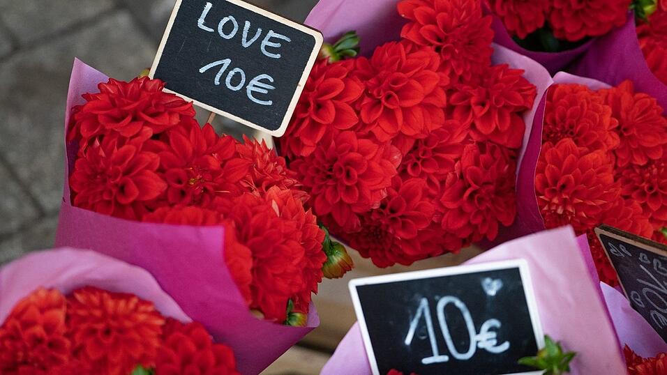 Rote Blumen sind ein Klassiker zum Valentinstag. (Symbolbild)