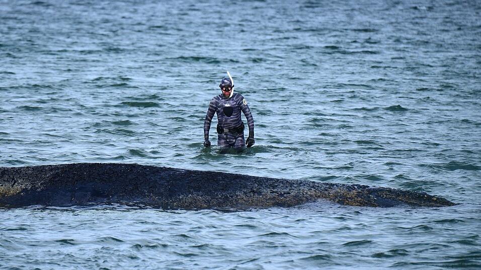 Bei der Rettungsaktion vor Timmendorfer Strand hat Lehmann unterst&uuml;tzt. (Archivbild)