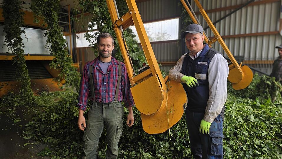 Hopfenbauer Stephan Weinbart (l.) mit einem seiner vier Erntehelfern aus Rumänien vor der Zupfmaschine. Hopfenbauer Stephan Weinbart (l.) mit einem seiner vier Erntehelfern aus Rumänien vor der Zupfmaschine.
