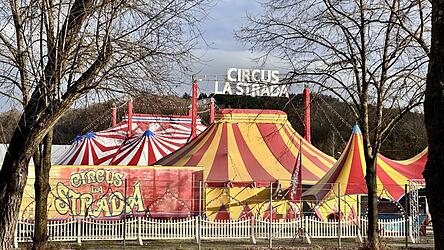 Vor rund drei Wochen kam der Weihnachtszirkus an: &bdquo;Es dauert ungef&auml;hr einen Monat, bis alles an seinem Platz steht, weihnachtlich geschm&uuml;ckt ist und die Generalproben gelaufen sind&ldquo;, sagt Remo Frank.