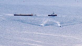 Am Morgen war der Verband s&uuml;d&ouml;stlich vor Fehmarn.