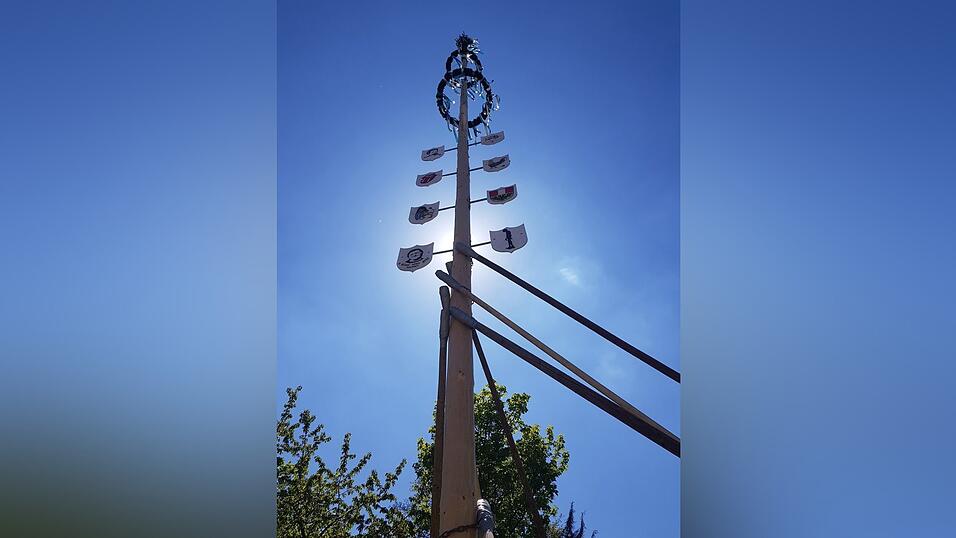 Die Hoberfoidtreiber stellen ihren Maibaum in Altfraunhofen auf Die Hoberfoidtreiber stellen ihren Maibaum in Altfraunhofen auf