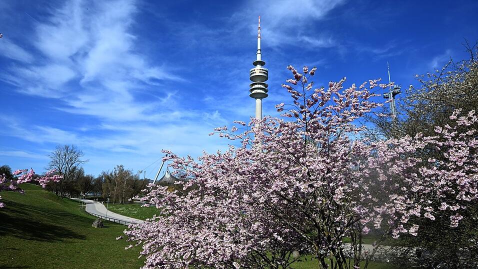 Am Mittwoch bleibt es sonnig. (Archivbild)
