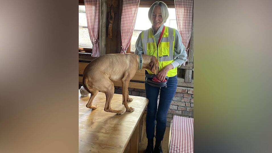 Belohnung muss sein: Resi bekommt ein Leckerli, weil sie das versteckte Geld erschnüffelt hat.  Belohnung muss sein: Resi bekommt ein Leckerli, weil sie das versteckte Geld erschnüffelt hat.