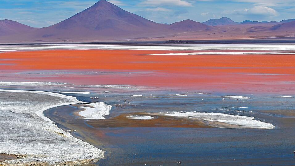 Die rotschimmernde Laguna Colorada im Hochland von Bolivien zählt zu den schönsten der salzhaltigen Lagunen.