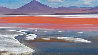 Die rotschimmernde Laguna Colorada im Hochland von Bolivien zählt zu den schönsten der salzhaltigen Lagunen.