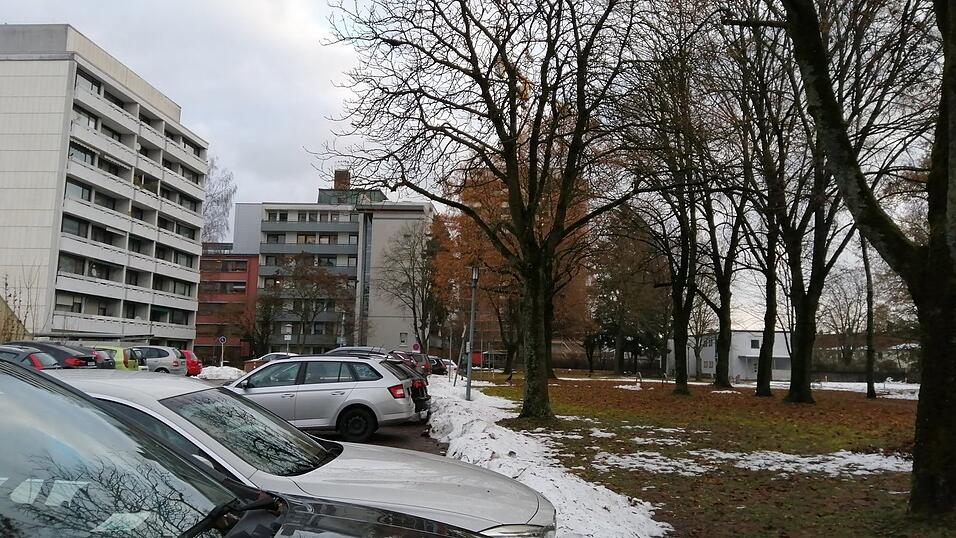 Blick in einen Teil des St. Nikola-Parks, dessen Zukunft aktuell den Stadtrat spaltet.